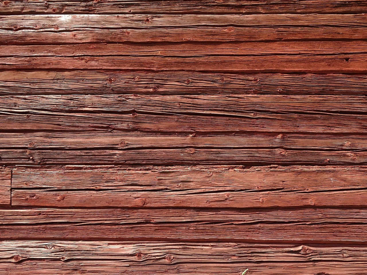 Quels sont les différents types d’essences de bois ?