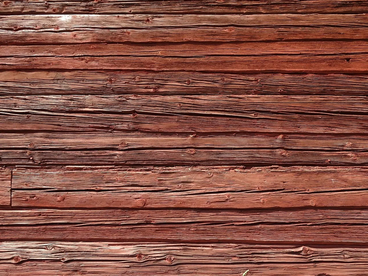 Quels sont les différents types d’essences de bois ?