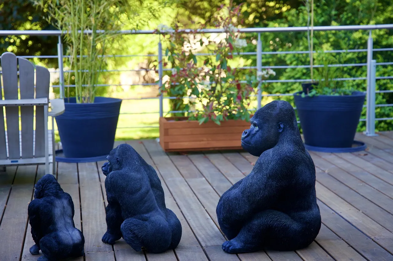 Comment se créer une terrasse accueillante et conviviale ?