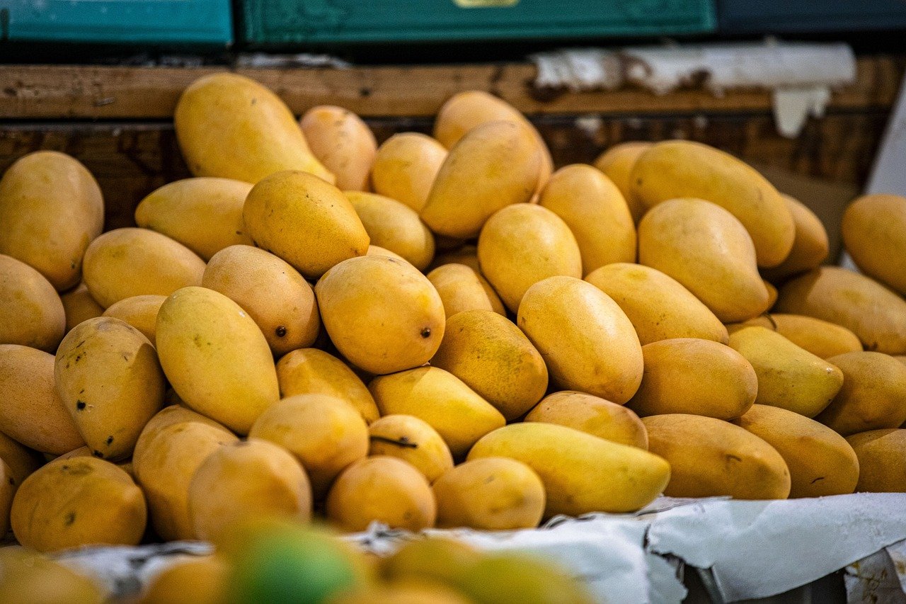Transformer un noyau de mangue en plante : comment faire à la maison ?