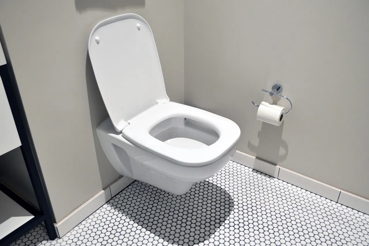 DIY en maison : le remplacement facile de votre chasse d’eau WC suspendu