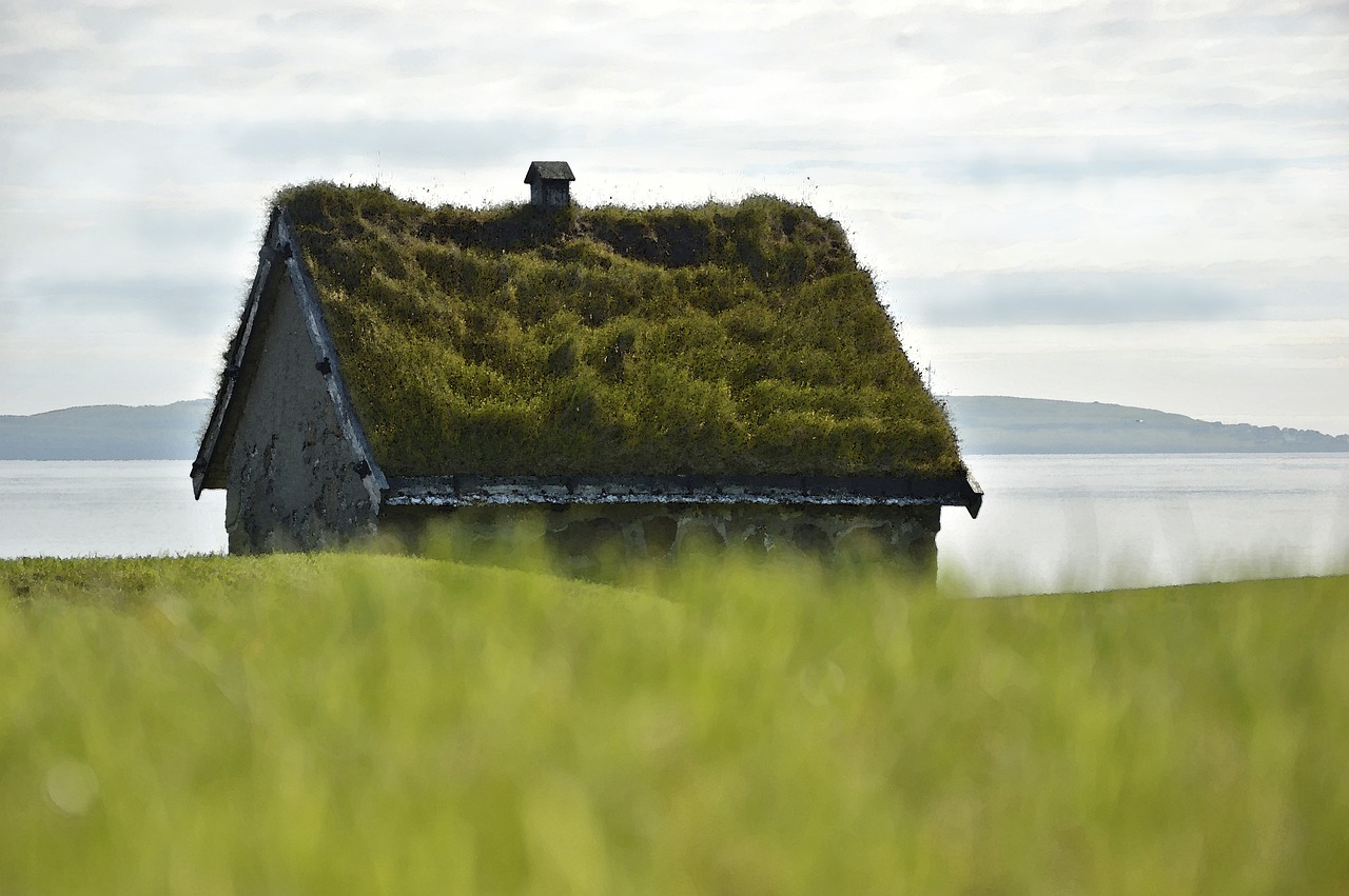 La révolution verte : transformez votre maison avec une toiture végétalisée
