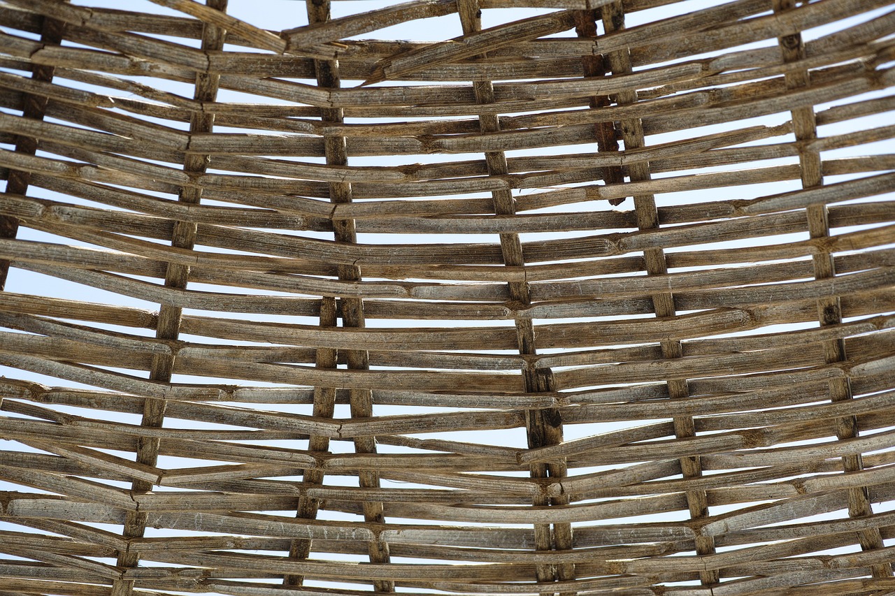 Le plessis châtaignier : un choix esthétique et durable pour votre habitation