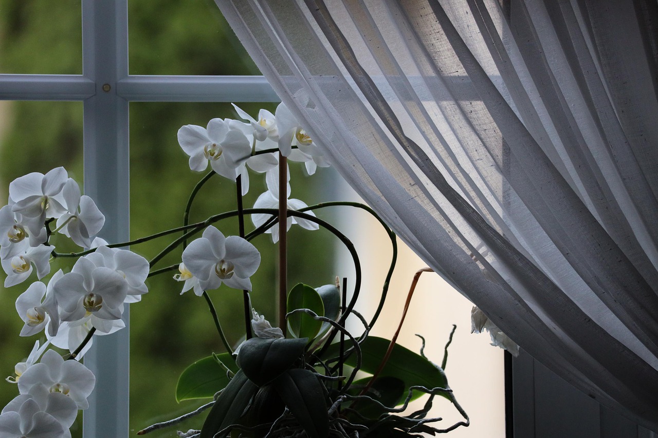 Zoom sur les différents types de tissus pour rideaux : comparaison et conseils