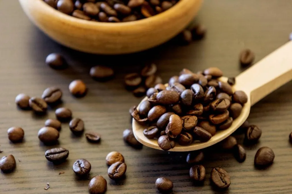 café à grains professionnel