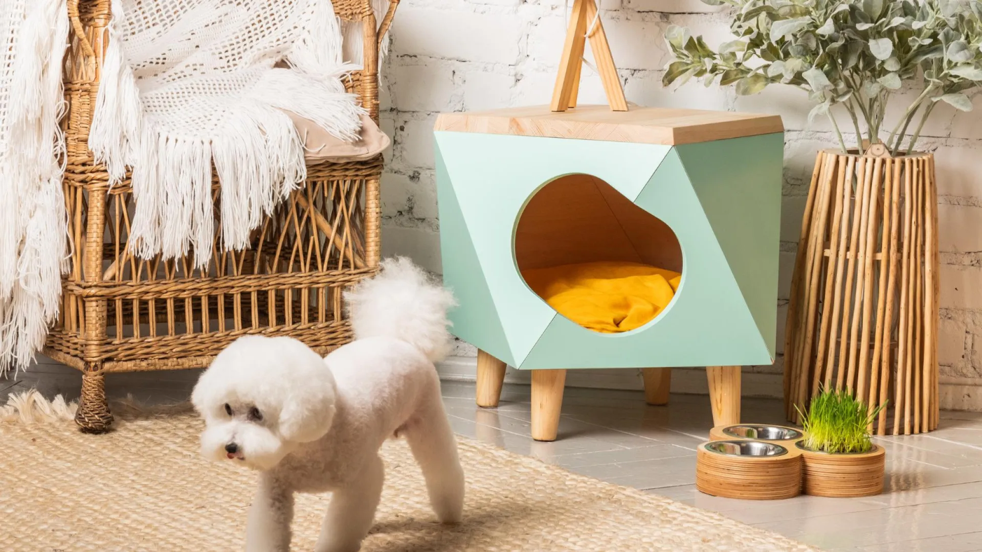 Le panier parfait pour votre animal : comment choisir celui qui complétera votre décoration d’intérieur ?