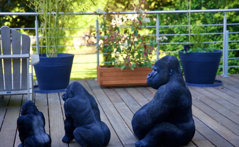 Comment_se_créer_une_terrasse_accueillante_et_conviviale_?
