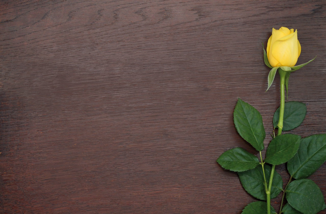 comment poser du lino ?